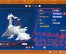 外国語が得意な私が、素晴らしいニックネームつけます ポケモンSVや剣盾(ソードシールド)に対応！ イメージ5