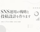 SNS運用の戦略と投稿設計を作ります 分析から7日分の投稿・台本まで丸ごと設計 イメージ1