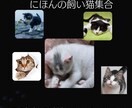 サムネイルに使えます イベント、マルシェ、お勉強会にフライヤー作ります イメージ1