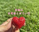 ゆるっと癒しの時間♡一緒に過ごします ちょっと誰かと話したい時に♪ 5分だけでも大丈夫◎ イメージ5