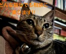 話し相手になります 普段誰にも離せないこととか聞きます！ イメージ1