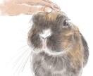 柔らかいタッチでペットのイラストを描きます 大切な家族の一員をイラストにしてみませんか？ イメージ5