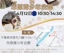 地域密着！保護猫イベントのチラシお作りします “会いに行きたい”と思ってもらえるデザインを。 イメージ4