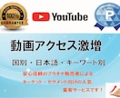 短期にYouTube動画トラフィックが拡大します 日本人視聴者に強力にブーストし、YTランキングを向上させます イメージ1
