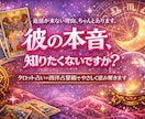 片思いの彼の本音と未来を占います 不安な恋に、優しい答えと行動を届けます イメージ1