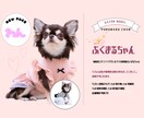 わんちゃん商品の撮影代行します 大型犬から小型犬まで幅広く対応 イメージ2
