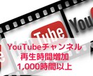 YouTube再生時間+1,000時間～増やします 4,000時間まで対応、全世界に拡散、収益化支援 イメージ1