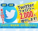 Twitterのフォロワー2000人増やします コスパ抜群！高品質のフォロワーをお届けいたします。 イメージ4