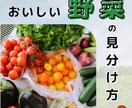 クリックを誘う、世界観バナー・ヘッダーを作ります その一枚が、次のアクションを呼び起こす イメージ5