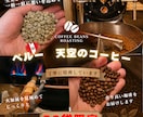 現場目線で魅力を伝えるポスター・チラシ作成します お店の魅力が「一目で伝わる」ポスター・チラシ イメージ3