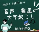 長時間OK!動画・音声データの文字起こしします 30分以上の会議・インタビュー・講演などを文字起こしします イメージ1