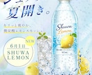 集客にお悩みの方、ご相談下さい！お手伝い致します ココナラ参入記念特価！先着3名様限定で対応致します。 イメージ9