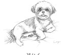 うちの子を温かみのあるタッチの絵で表現します 贈り物にも喜ばれる本格うちの子アートです イメージ10