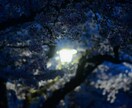 人、物、ペット、風景等の撮影をいたします 趣味でコスプレ撮影を行ってきた技術も活用いたします！ イメージ3