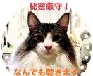 悩み、愚痴、相談、なんでも聴きます 話して楽になる事、整理できる事、いっぱいありますよ！ イメージ1