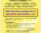 地域猫や多頭飼育崩壊した猫の格安不妊手術相談承ます この出品は購入はされないで、DMからお問い合わせ下さい イメージ4