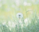 すべて癒します 辛い事、悲しい事、悩み事、楽しい事すべてまるごと癒します イメージ1