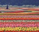 恋愛相談、愚痴なんでも聞きます ただ話を聞いてほしいそれだけでも構いません！ イメージ1