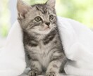 精神科ナースが色々聴いちゃいます ☆ちょっと勇気だして ちょっと寄ってく?★ イメージ4