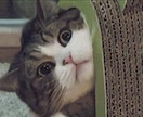 クセスゴぉぉおぉぉお！なナレーションをお届けします 視聴者の耳に残るナレーションをお届けします。 イメージ4