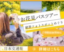 WEB画像制作承ります 初出品記念⭐️2025年1月〜2月は特別価格で承ります。 イメージ5