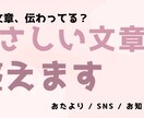 文章校正・リライト・誤字脱字チェックします おたより・ブログ・SNSなどの校正・言い換え対応 イメージ1