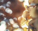 自分に優しくなれない時、私があなたに優しくします 話す事で、自分自身を癒しましょう♡自分を甘やかしましょう。 イメージ5