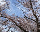 相談相手⭐︎話し相手になります 相談のります。どんな内容でも大丈夫です！お気軽に〜 イメージ1