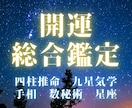 多視点で深く知る自分専用の鑑定書を作成します 多視点で深く知る自分専用の鑑定書を作成します イメージ1