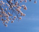 雲や、夕焼け、朝日の写真をとります 綺麗だと思った写真を売ります。 イメージ3