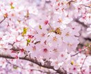 半日トーク★お試し価格★トークルーム内でお話します 恋愛、悩み、相談なーんでも気楽に♪ イメージ2