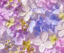 現役Nsがお話し聴きます お試し可能。気軽に、じっくり話したい時あなたに寄り添います。 イメージ1