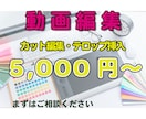 YouTubeの動画編集を丸ごと承ります オリジナリティの高い編集でワンランク上の動画へ イメージ1