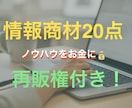 副業しませんか？副業商材20点を格安提供します 即日使える！知識＋販売のW活用！ イメージ1