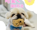 Instagram投稿画像を作ります Canvaを使った可愛い画像作れます！ イメージ1
