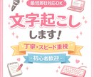 音声・動画の文字起こしします やさしく丁寧に文字起こしします♡即日対応OK✨ イメージ1