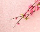 受験に向けて、受験後のアドバイスをいたします ・これから受験、または受験を終えたお子様がいらっしゃる方 イメージ1