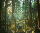 初回｜恋の悩み。あの人の本心と二人の関係を整えます 片耳の静寂で培った鋭い感性で、見えない本音を捉えます。 イメージ7