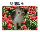 運気が良くなる開運散歩。お出かけ方位お知らせします 運気を好転させる［良い気］を呼吸しにお出かけしませんか？ イメージ3