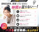 TikTok・Reels縦型動画をプロが編集します 管理職経験者の安心サービス！バズる縦型動画に仕上げます イメージ2