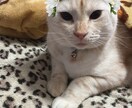 ゆるーいダイエット法教えます ゆるく痩せていきたい方気軽にどうぞ！ イメージ1