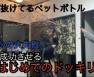 YouTube動画編集致します YouTubeの編集、MV、PVなどの編集を致します。 イメージ5