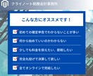 税理士が個人確定申告のための記帳確認・修正します 会計ソフトを使っている方向けの決算書・申告書作成サポート イメージ6