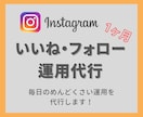 インスタで30日間いいね・フォロー運用を代行します 毎日のめんどくさい「いいね！とフォロー」を代行します！ イメージ1