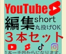 YouTubeショートなど縦型動画の編集をします 格安！高品質！柔軟に対応いたします。 イメージ1