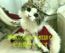 皆様の日頃のストレスや不安愚痴などをお聞き致します 皆が少しでも楽になれたらいいなと思っておりますよ イメージ1