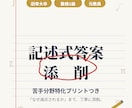 元教員が添削｜「なぜ減点されるか」がわかります 採点者目線でチェック。苦手は希望に応じてオリジナル問題で克服 イメージ1