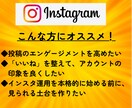 インスタに日本人から500いいねを拡散支援します ★性別指定可能★匿名評価★振分可★安い★ゆっくり増加 イメージ6