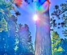 霊視で大切なお子様の才能・未来・適性を視ます 子育ての不安を解きほぐし、お子様の可能性を読み解きます イメージ6