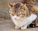 じっくりお話聞きます 長くてややこしいけど聞いてほしいことがある方へ イメージ1